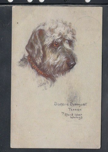 Cartolina animali cane dandie - animali,