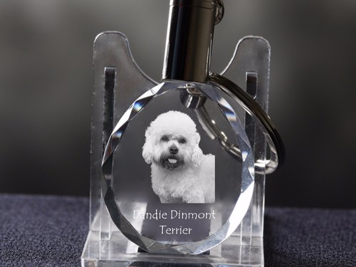 Dandie dinmont terrier cane - dinmont, terrier,