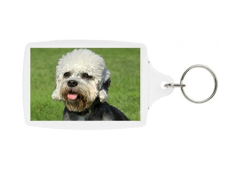 Dandie dinmont terrier - dinmont, keyring