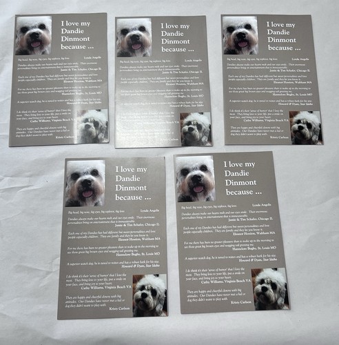 Dandie dinmont terrier club - dinmont, of