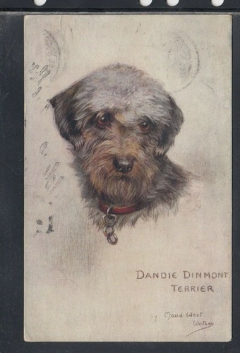 Cartolina animali cane dandie - animali,