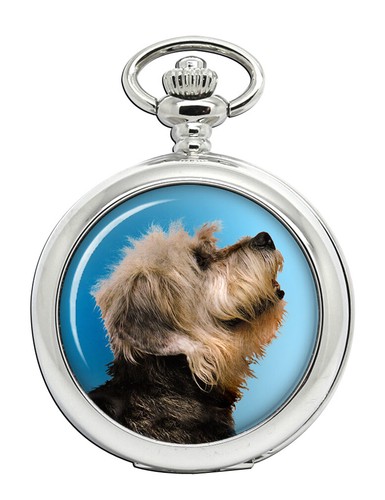 Dandie dinmont terrier - dinmont,