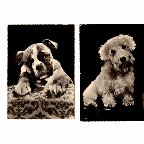 Two vintage real - two,