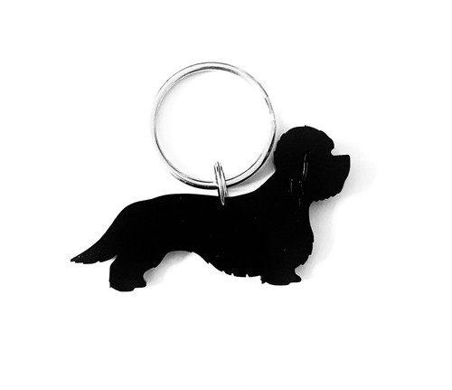 Dandie dinmont terrier dog - dandie,