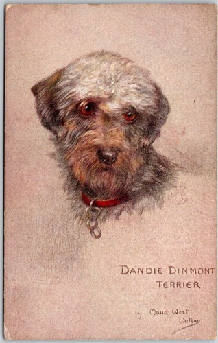 Cartolina dandie dinmont - cartolina,