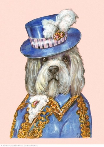 Dandie dinmont terrier - dandie,