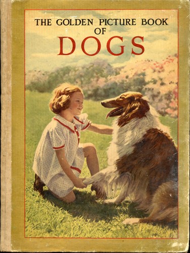 The golden picture - the, book