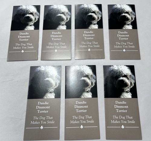 Dandie dinmont terrier - terrier, club