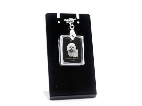Dandie dinmont terrier - dandie,