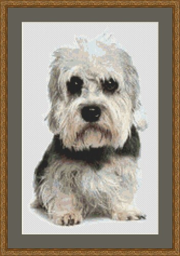 Dandie dinmont terrier kit - dandie,