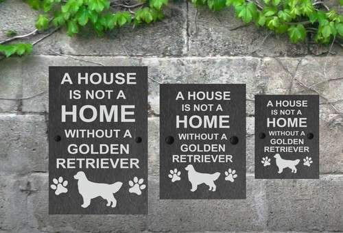 Una casa non - non, cane