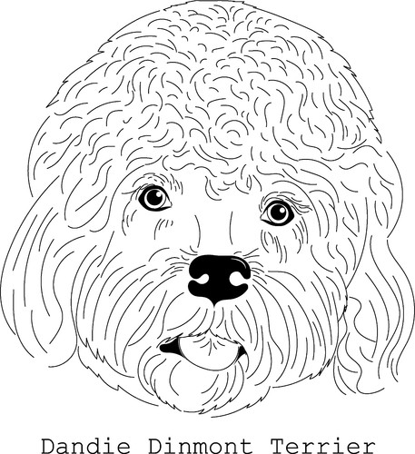 Adesivi auto dandie - auto,