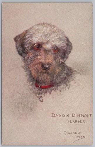 Dandie dinmont terrier dog - dog, by