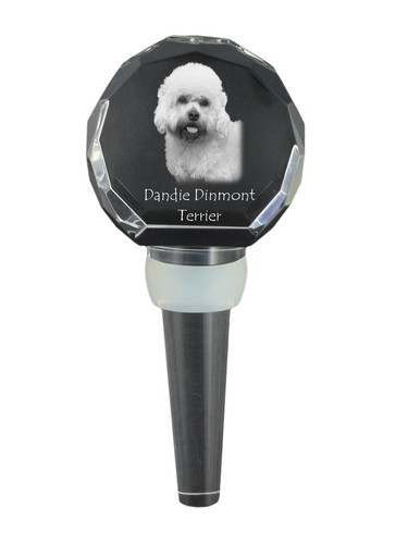 Dandie dinmont terrier - terrier,