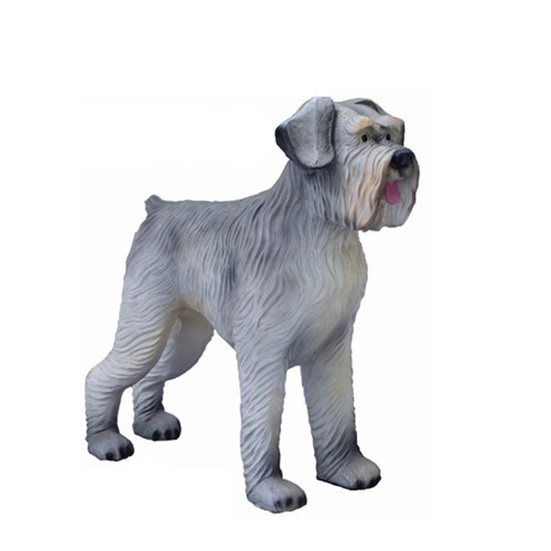 Dandie dinmont terrier - dandie,