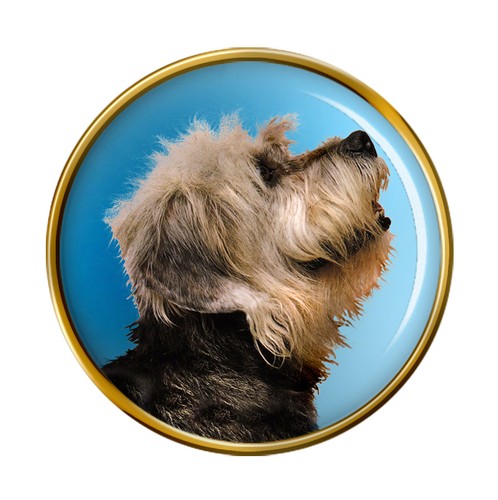 Dandie dinmont terrier cane - dinmont,