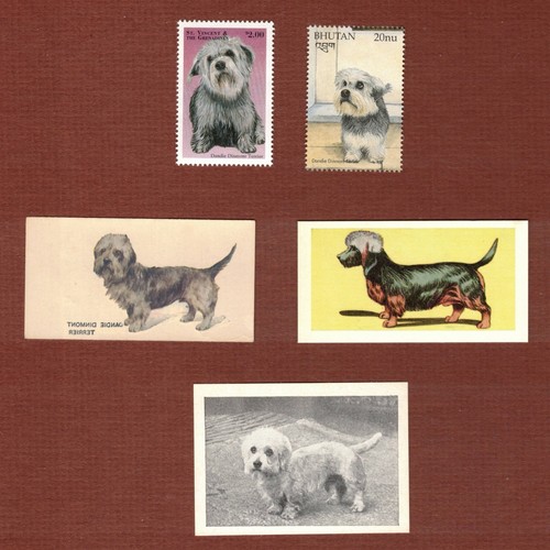 Dandie dinmont timbri per cani - dandie,