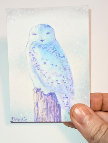 Gloria originale aceo gufo - aceo,