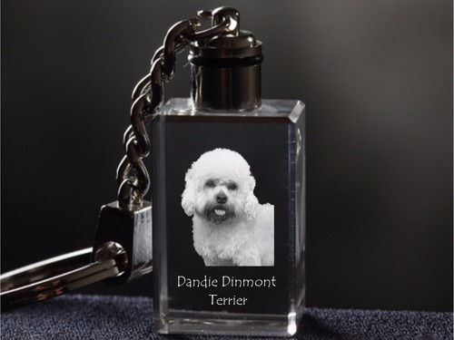 Dandie dinmont terrier - dandie,