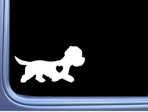 Dandie dinmont lil heart m332 - lil,