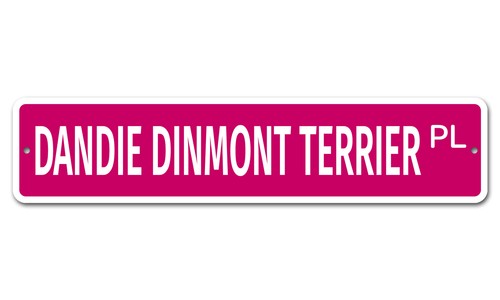 5769 dandie dinmont terrier - 5769,