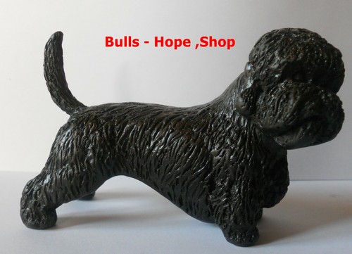 Dandie dinmont terrier - dinmont,