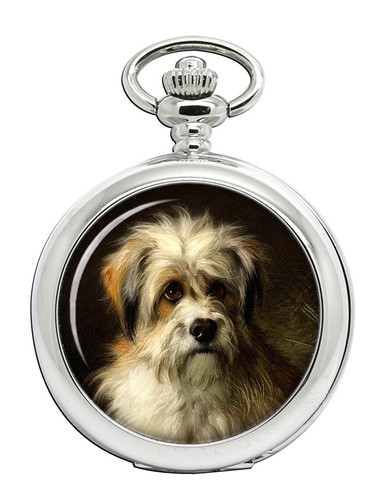 Dandie dimont terrier da - dandie,