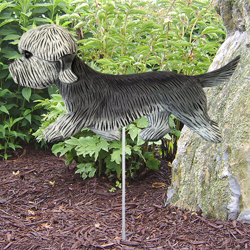 Dandie dinmont terrier - dandie, dig