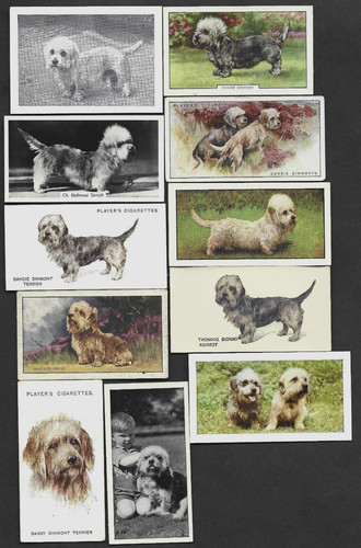 Diverse carte vintage - diverse,