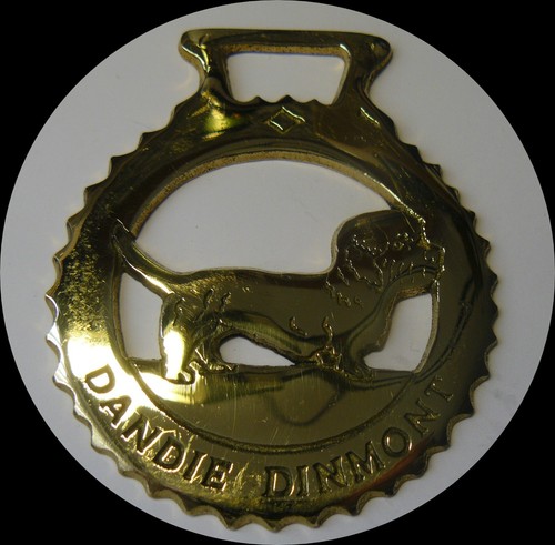 Dandie dinmont cavallo - dinmont,