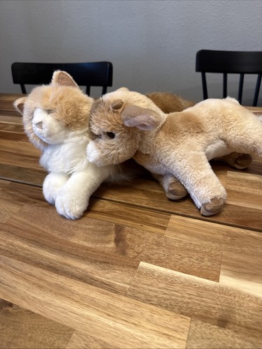 Peluche douglas gatto - x2,