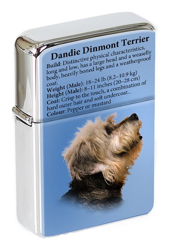 Dandie dinmont terrier - dandie,