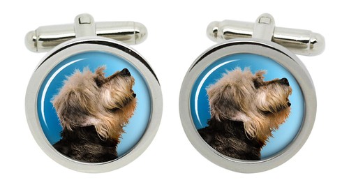 Dandie dinmont terrier gemelli - dandie,